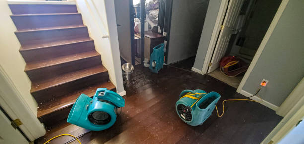 Best 24/7 water damage repair  in Marcellus, MI