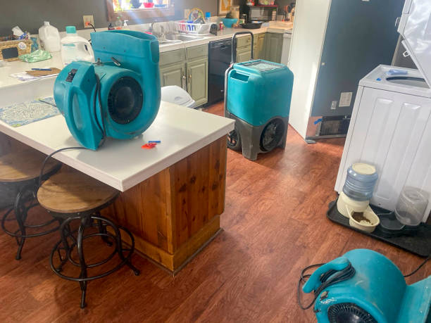 Best Sewage cleanup and water damage restoration  in Marcellus, MI