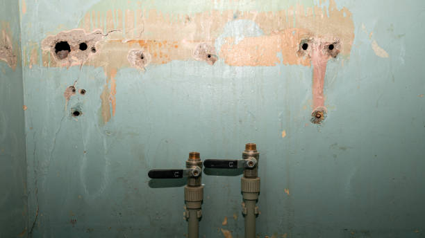 Best Commercial water damage restoration  in Marcellus, MI