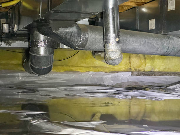 Best Professional water damage repair  in Marcellus, MI