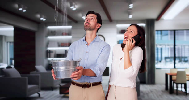 Best Residential water damage restoration  in Marcellus, MI