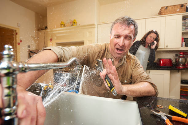 Best Carpet water damage restoration  in Marcellus, MI